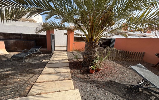 canarias